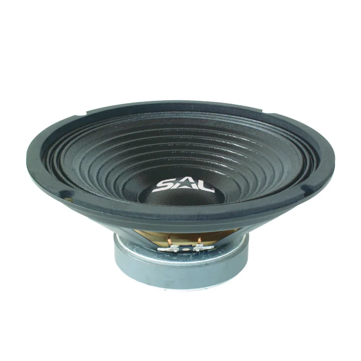 Niskotonski zvučnik 250mm 200W slika 1