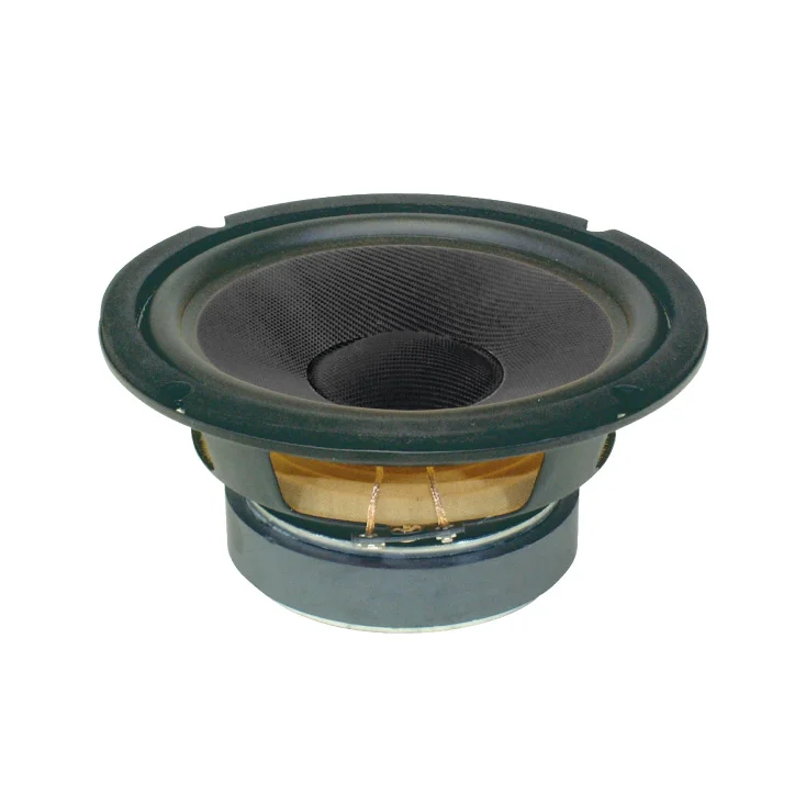 Niskotonski zvučnik 165mm 80W slika 1