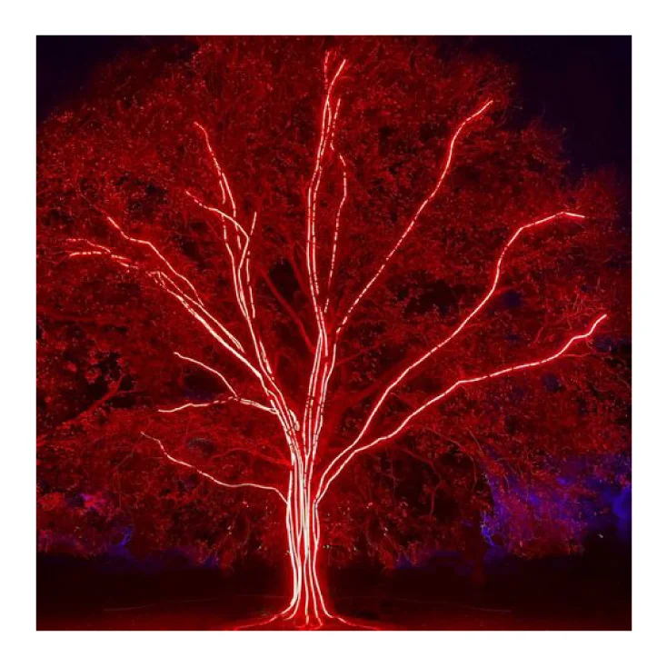 Crveno svetleće LED crevo slika 2