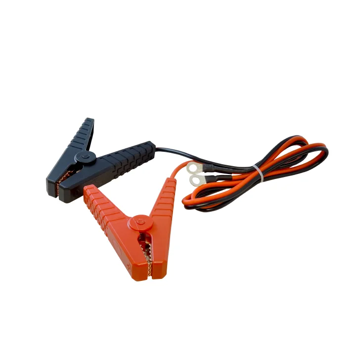 Automatski punjač akumulatora 12V/24V, 20A slika 3