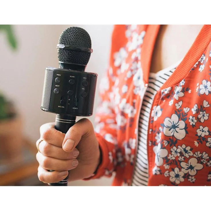 Mikrofon sa BT zvučnikom slika 3