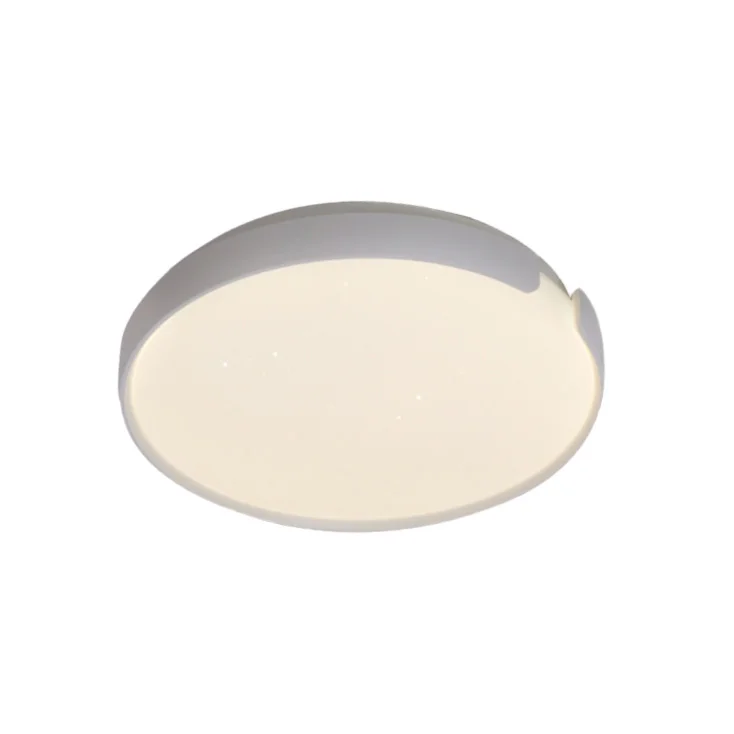 LED plafonjera 24W toplo i hladno bela slika 1
