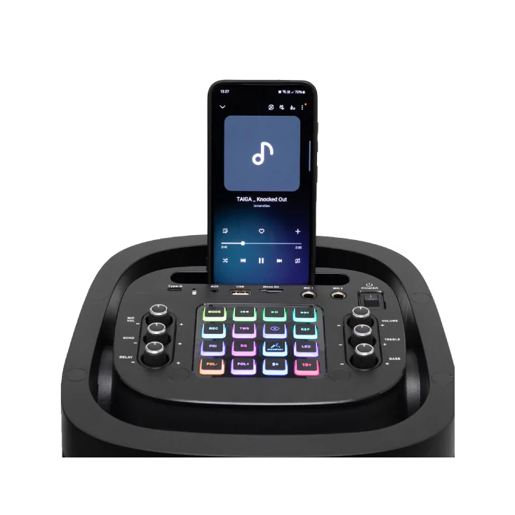 Prenosna zvučna kutija sa Bluetooth konekcijom 60W slika 3